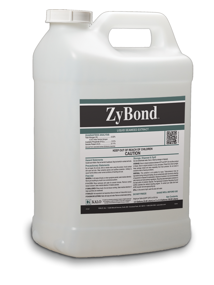 ZyBond image